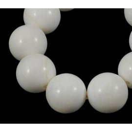 Dabīgas čaulas krelles 14 mm., 1 vītne