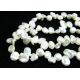 Saldūdens KESHI pērles baltas, neregulāras monētas formas