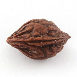 Looduslikud Bodhi täringuhelmed, 17x16x13 mm, 4 tk, 1 kott