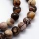 Natural Bea hers beads, 8 mm, 1 strand AK1569