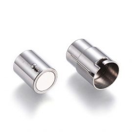Nerūsējošā tērauda 304 magnētiskā aizdare ar papildu fiksāciju, 21x10 mm, 1 gab