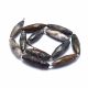 Natural Pietersite beads 29-33x9-10 mm 1 pcs AK1627