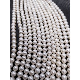 Natural Freshwater Pearls Class A 7.5-8.5 mm. ,1 strand