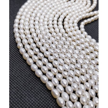 Natural Freshwater Pearls Class A 5.5-6x4.5-5 mm. ,1 strand GP0088