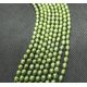 Natural Freshwater Pearls Class A 5-5,5x4-4.5 mm. ,1 strand GP0090