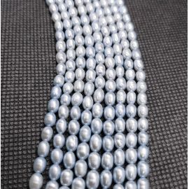 Dabiskas saldūdens pērles 5,5-6x4-4,5 mm. , 1 dzīsla