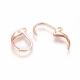 Edelstahl 304 Ohrringe Haken 16x11,5x2 mm. 2 Paare, 1 Beutel MD2200