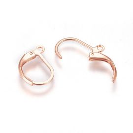 Stainless steel 304 earrings hooks 16x11,5x2 mm. 2 pairs, 1 bag MD2200