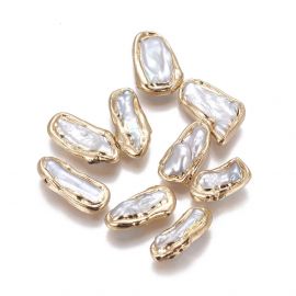 Natūralus Keshi perlas paauksuotas 14-25x7-13x3-5 mm 1 vnt