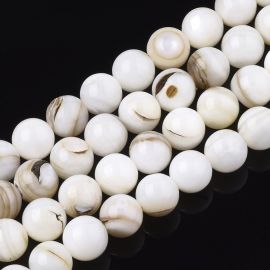 Dabīgas čaulas krelles, 7,5 mm, 1 vītne SH0068