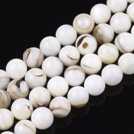 Natural shell beads, 7.5 mm, 1 thread SH0068