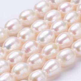 Dabiskas saldūdens pērles 7-9x6-7 mm 1 dzīsla
