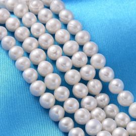 Natural freshwater pearls 7x8 mm 1 strand GP0104