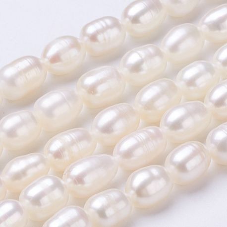 Natural freshwater pearls 7-9x6 mm 1 strand GP0105