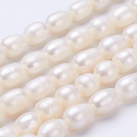 Natural freshwater pearls 11-13x9-10 mm 1 strand