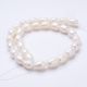 Natural freshwater pearls 11-13x9-10 mm 1 strand GP0106