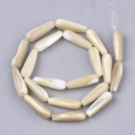 Dabīgās čaulas krelles 19-20x6 mm 4 gab.