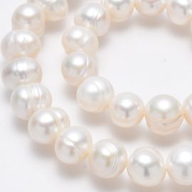Dabiskas saldūdens pērles 10-11 mm 1 dzīsla