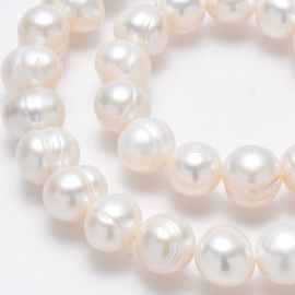 Natural freshwater pearls 10-11 mm 1 strand