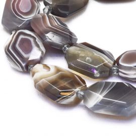 Looduslikud Botswana Ahhaat helmed 20x14x5 mm 1 tk