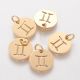 Nerūdijančio plieno 304 zodiako pakabukas "Dvyniai" 12x1 mm 1 vnt