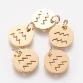 Nerūsējošā tērauda 304 zodiaka kulons "Ūdensvīrs" 12x1 mm 1 gab