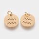 Stainless steel 304 zodiac pendant "Aquarius" 12x1 mm 1 pc