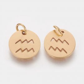 Edelstahl 304 Sternzeichen-Anhänger "Wassermann" 12x1 mm 1 Stk