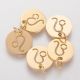 Stainless steel 304 zodiac pendant "Leo" 12x1 mm 1 pc