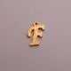 Stainless steel 304 pendant letter "F" 15x12 mm. 1 pc.