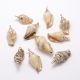 Korpusa kulons 52-26x23-13x17-15 mm. 1 gab