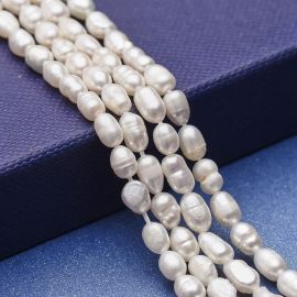 Natural freshwater pearls 75-5x5-4 mm. 1 thread
