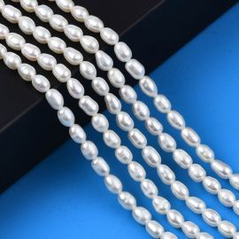 Natural freshwater pearls AA class 6x4 mm. 1 thread