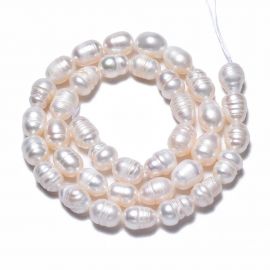 Natural freshwater pearls 12-8x7-6 mm. 1 thread