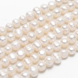 Dabīgās saldūdens pērles A klase 8-7 mm. 1 pavediens