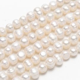 Natural freshwater pearls class A 8-7 mm. 1 thread