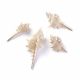 Shell ripats. Beež aas hall suurus 70-42x34-20 mm 1 tk