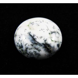 Koralo fosilijos kabošonas 26x16x7 mm