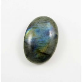 Koralo fosilijos kabošonas 26x16x7 mm KB0129-1