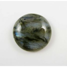 Koralo fosilijos kabošonas 26x16x7 mm KB0130