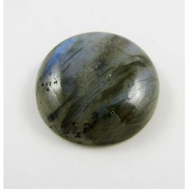 Koralo fosilijos kabošonas 26x16x7 mm