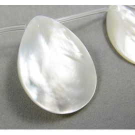 SHELL pērļu krelles 35x25 mm GP0036