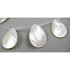 SHELL pērļu krelles 35x25 mm