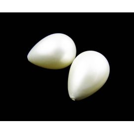 SHELL perlų karoliukai 21x15 mm, 1 vnt.