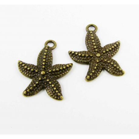 Kulons "Asterisk" 22x18 mm, 4 vienības. MD0401