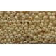Preciosa seed beads (46205) 8/0 50 g 00855-11