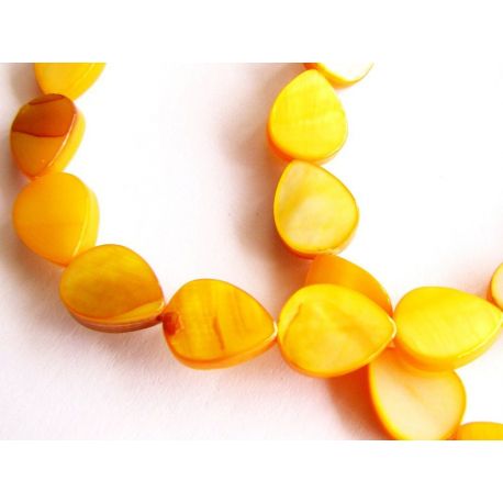 Shell beads 8x10 mm PM0007