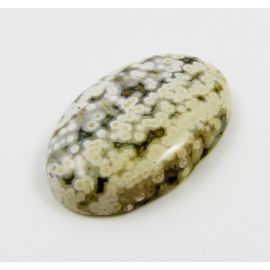 Houlito kabošonas 40x30x8 mm