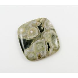 Houlito kabošonas 40x30x8 mm KB0067