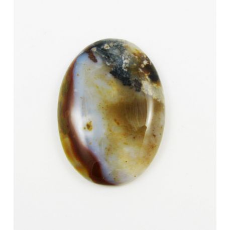 Polkadato jaspio kabošonas 38x27 mm KB0066